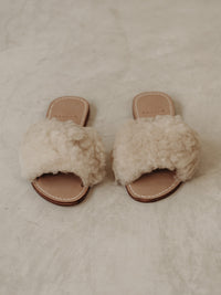 Thumbnail for Borrego Slides