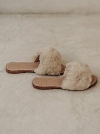 Thumbnail for Borrego Slides